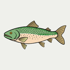 vector illustration of a trout fish