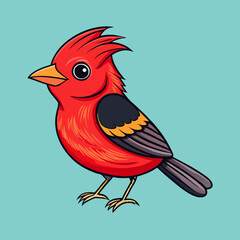 vermilion flycatcher bird on a branch
