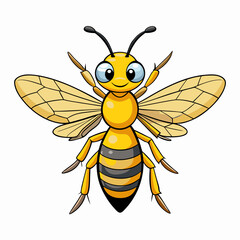 wasp on white background