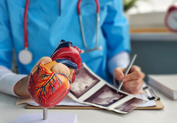 A doctor examines a detailed heart model while reviewing ultrasound images concept