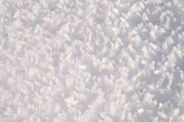 close-up of the snow covering creating a soft and fluffy texture. Snow sparkles in the light, forming small crystals