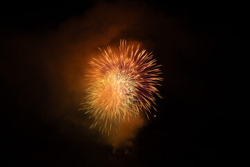Fototapeta premium Fireworks at the national holiday in Vaduz in Liechtenstein