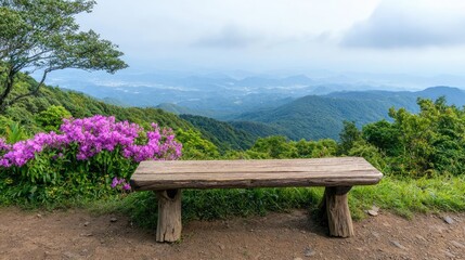 Fototapeta premium Mountaintop wooden bench scenic view, relaxing nature escape