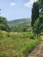 Naklejka premium Caucasus mountains in Georgia - beautiful nature