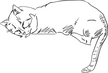 Charming line drawing of a cute cat, showcasing its adorable nature and detailed whiskers