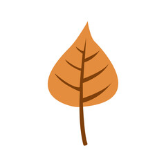 Organic Autumn Leaf Elements