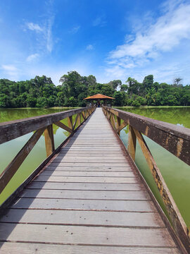Endless wooden walkway over lake in natural park in Sinop, Mato Grosso.