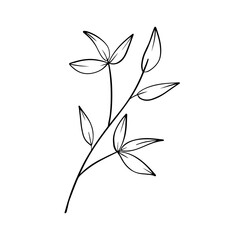handdrawn aesthetic leaf