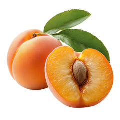 Ripe apricots on a white background, showcasing their vibrant orange color and smooth skin, perfect for summer recipes or fresh snacking isolated on transparent background