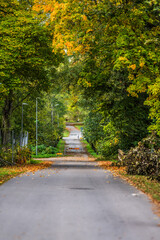 Long straight bike road with gates blocking car traffic.