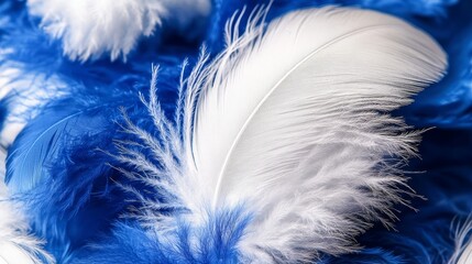 Fototapeta premium Soft White and Blue Feathers, Delicate Texture or Background for Design, Copy Space for Dreams.