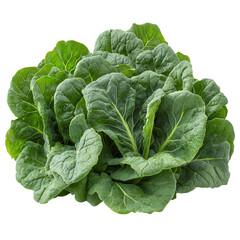 Obraz premium Freshly harvested green leafy vegetables displayed in a natural arrangement for healthy meal preparation isolated on transparent background