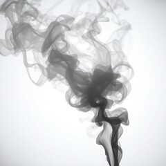 Fototapeta premium smoke withe transparent background , smoke