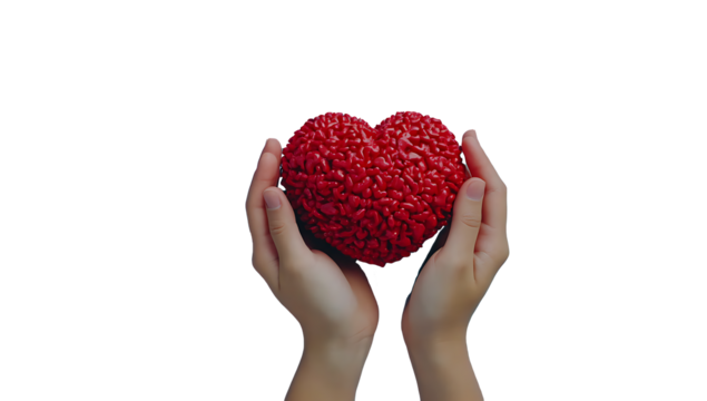 hands holding heart isolated on white background.PNG - Powered by Adobe