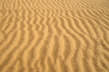 Sand in desert after rain closeup