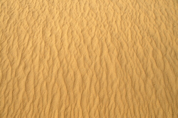 Sand in desert after rain closeup