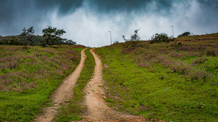 Fototapeta premium landscape of oman