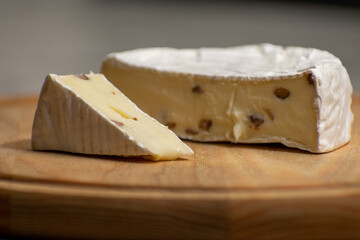 Wheel of creamy camembert cheese topped with nuts, resting on a rustic wooden surface against a white background. The rich textures and contrast create an elegant culinary composition