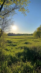 Obraz premium Lush spring meadow at sunrise with green grass and clear blue sky