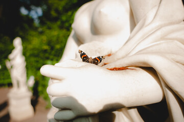 Butterfly on the sculpture