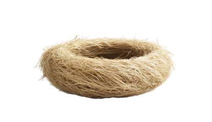 A birds nest made of straw isolated white background PNG.AI GENERATED