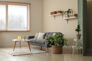 Interior of living room with black sofa, shelves, houseplant and table