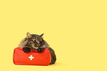 Cute cat with first aid kit on yellow background