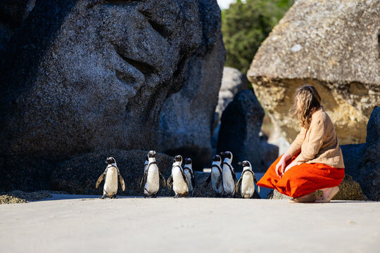 Woman observing African penguins on the beach. - Powered by Adobe