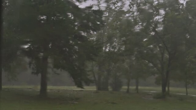High wind gusts and heavy rain from Hurricane Helene rip through the trees, breaking branches, in western North Carolina.