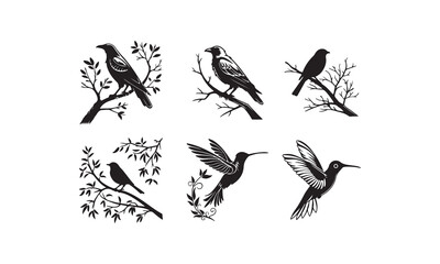 Birds Silhouettes Collection vectors design files