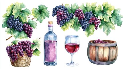 Fototapeta premium Unique clipart showcasing the intricate steps of winemaking in vivid colors.