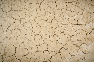Ground cracked by lack of water