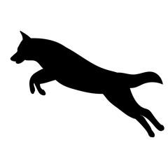silhouette wolf, dog jumping on white background vector