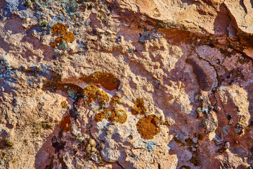 Rugged Desert Rock Texture with Lichen Detail in Golden Hour Light