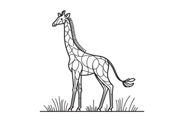 Giraffe Line drawing