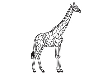 Giraffe Line drawing