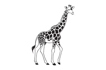 Naklejka premium Giraffe Line drawing