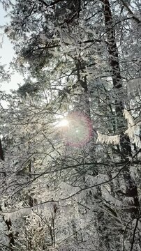 Frosty winter walk to Tomasovsky view, the rock protuberance providing wonderful views in National Park of Slovensky raj, Slovakia
