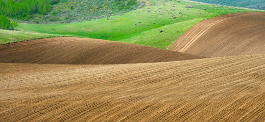 Rolling Plowed Field on Farm with Furrow Marks and Rows Texture