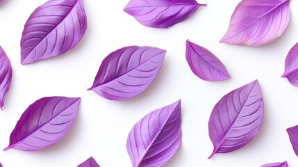 Obraz premium Colorful Purple Leaves Over White Background for Creative Projects