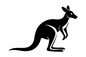 kangaroo illustration