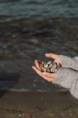 Children’s hands holding seashells on the beach with the ocean in the background. The shells are collected from the shoreline, capturing a moment of discovery and joy. The sandy beach and clear sea