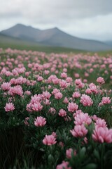 Obraz premium Beautiful pink flowers blooming in a lush green field with mountains