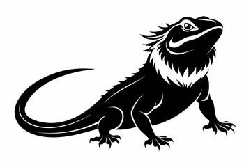 bearded dragon  silhouetted 