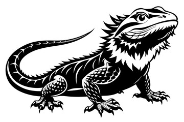 Fototapeta premium bearded dragon silhouetted 
