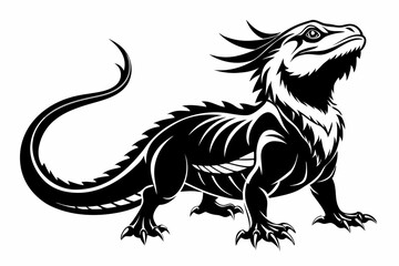  bearded dragon  silhouetted 