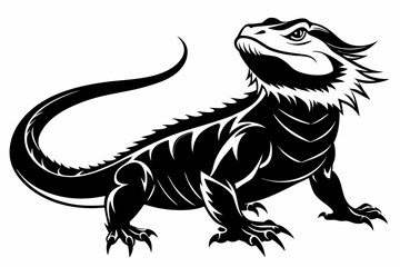  bearded dragon  silhouetted 