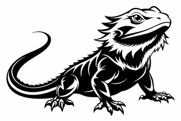  bearded dragon  silhouetted 