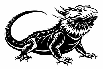  bearded dragon  silhouetted 