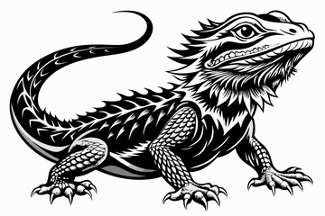  bearded dragon  silhouetted 